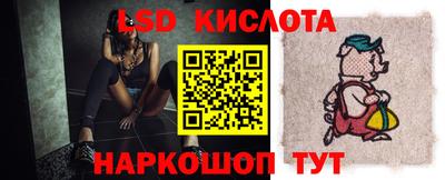 гашик Будённовск