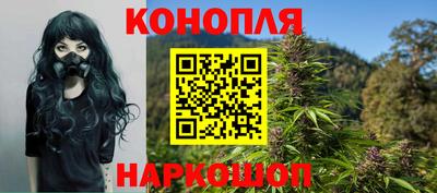 гашик Будённовск