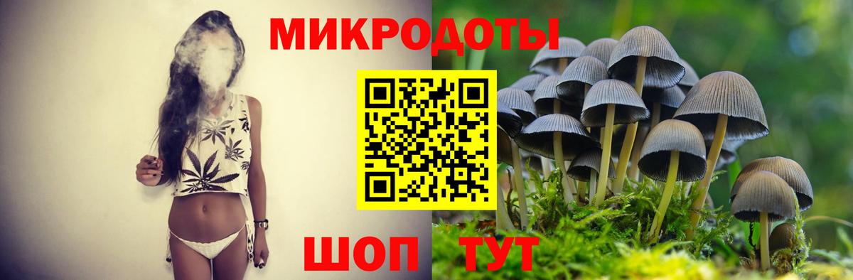 Лобня  Галлюциногенные грибы Cubensis  Вход с VPN 